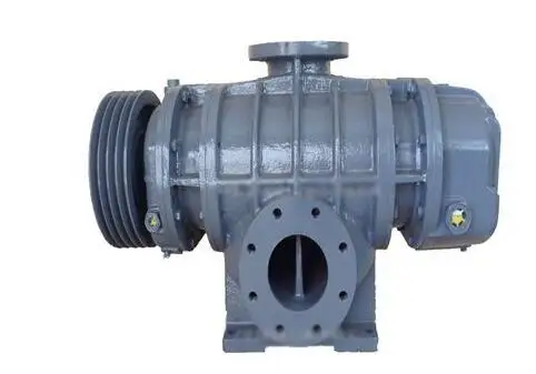 Roots Blower, LOGTTECH, 5hp, Cast - detail 6