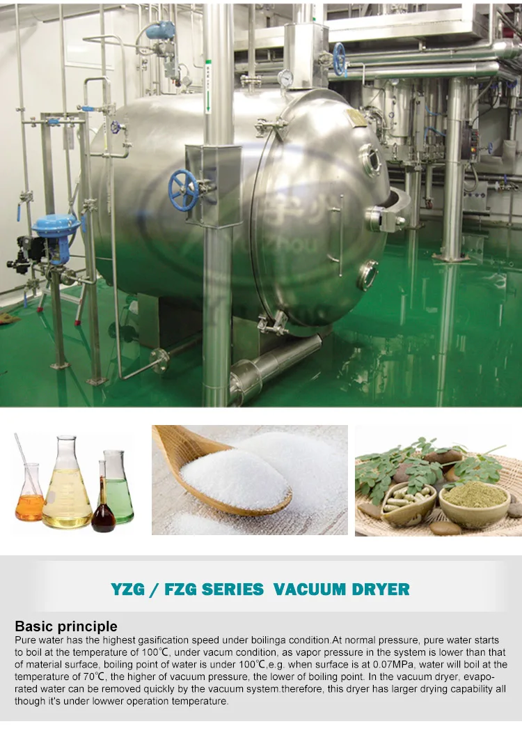 Food-Grade FZG Series Vacuum Dryer for Fruits and Vegetables