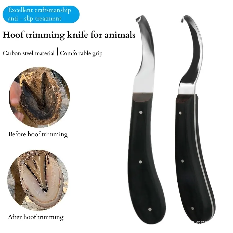 Horse hoof care tool
