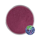 Pure Natural 36% Anthocyanosides European Bilberry Extract 25% Anthocyanidins Powder