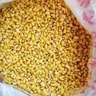 Yellow Corn Yellowcorn Corn Wholesale Yellow Sweet Corn Frozen Corn Kernels