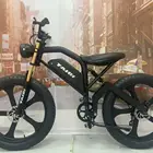 Bicycle Fat Tire Electric 2021 Fat Tire 48V 12.5-17.5ah Lithium Battery Ebike Beach Mountain Electric Bicycle
