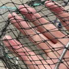 Lobster Shrimp Fish Cage Crab Fish Crayfish Lobster Fishing Net Shrimp Prawn Eel Trap Net Fishing Pot Cage