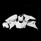 Fair Fair R3 Fiberglass Motorcycle Tail Fairings