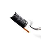 Black 1 Second Lash Extensions Easy Fast Fanning Dark Black Blooming Lashes Eyelash Extensions