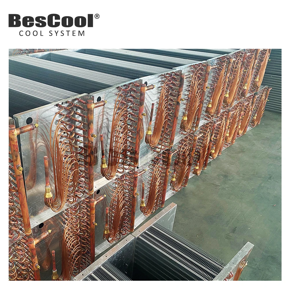 Blast Freezer - detail 14