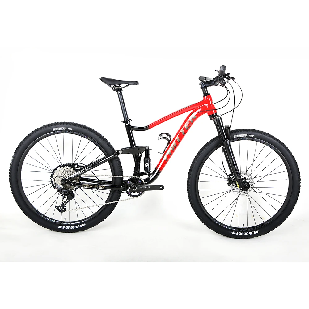 dual suspension 29er