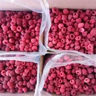 IQF Frozen Raspberry Whole 95/5 90/10 80/20 Crumble