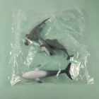 Model Simulation 3D Toys Shark Whale Dolphine Model Children Juguetes Education Tools Birthday Gifts