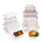 Disposable Bagasse Price 8'' 9'' Biodegradable Disposable Bagasse Clamshell Bagasse Sugarcane Menu Box