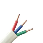 Cable Wire Hot 1.5mm 2.5mm 4mm 6mm 2 Core/3 Core BVVB Electrical Flat Cable Roll Up Cable Coper Wire Conductor