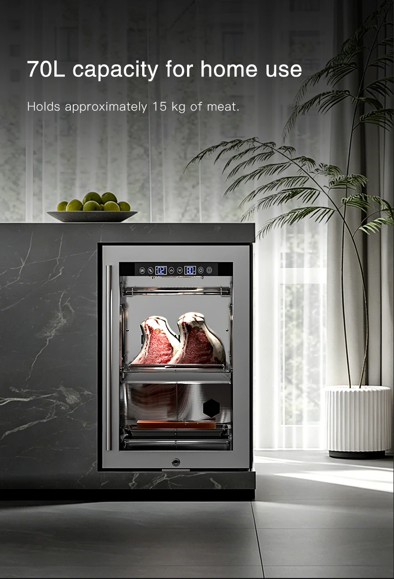 Dri Ageing Fridge Cooler, SICAO - detail 8