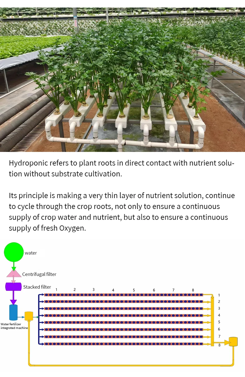 Hydroponic Square Tube For Soilless Cultivation Of Fruits And