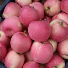 Fresh Apple Fresh Apple China Wholesale High Quality Red Fuji Apple
