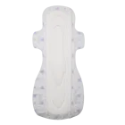 Pads Brand Name Distributor Disposable Menstrual Pads Lady Anion Sanitary Napkins Factory Price