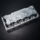 Pet Plastic Egg Pet Wholesale Disposable Pet Transparent Plastic Egg Tray With 10 Cells
