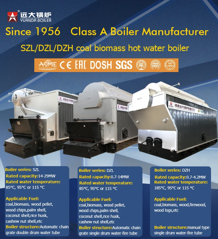 DZL hot water boiler.jpg