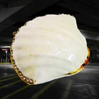 For Home Decoration Indoor White Shell Statue Ornaments For Sale