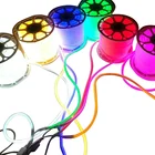Strip Light Competitive Price Large Wholesale 8*16 220v Ac Neon Strip Light 50m Roll Packing