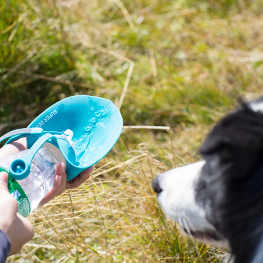 easy water feeding with Silicone pet water bottle in 3 colours