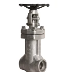 List Bellow Valve API Standard Carbon Steel Flanged Ends WCB Bellow Seal Gate Valves Price List