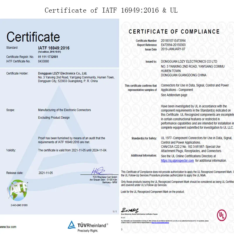 LDZY-certification---6