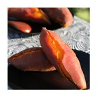 Emerging Gourmet Diet Essential Sweet Potatoes Cheap Wholesale Sweet Potatoes