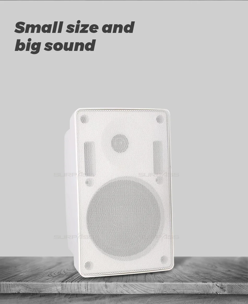 Hot Sale Black and White Color Outdoor PA System Waterproof Wall Mount Public Address PA Speaker - ANKUX.COM