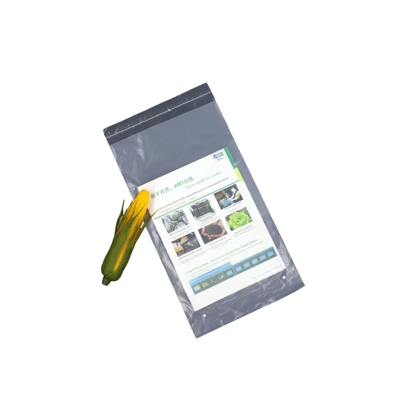 zip lock bolsas woolworths