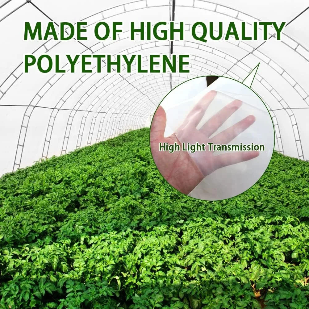 Eco-Friendly Single Layer Agricultural Plastic Film Greenhouse for Vegetable Tunnel China Product supplier