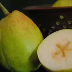 Pear High Quality Fresh Pear Sweet Green Fragrant Pear