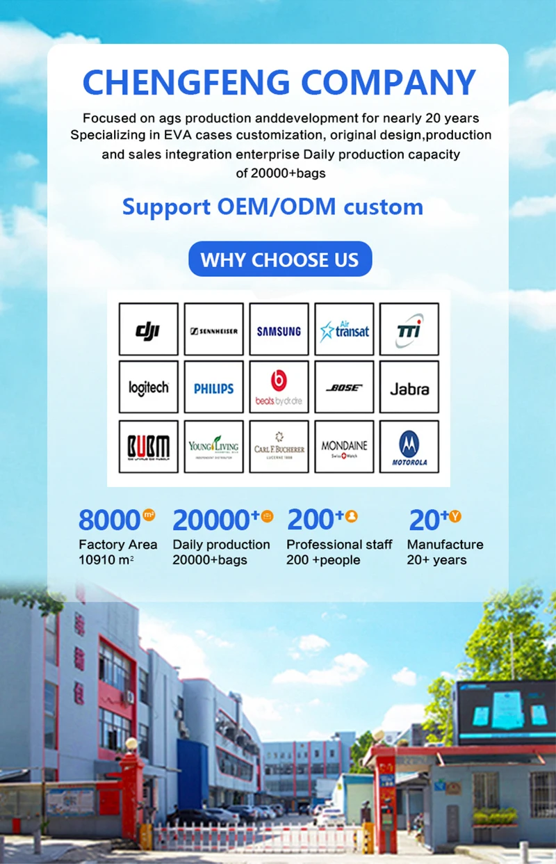 Manufactory Custom Logo Large Capacity Protective Travel Shockproof Zipper Carrying Tool Eva Bags & Cases With Foam Insert factory