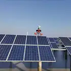 Powerful Electronic Airport Bird Control Array Shock Wave Laser Bird Repeller