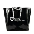 Shopping Bag Hot Selling Bolsas Ecologicasl Cheap Fashion Pp Woven Shopping Boat Bag With Logo