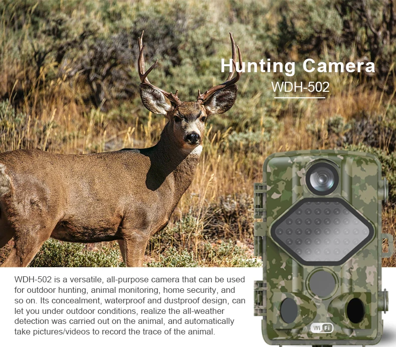 WDH-502 hunting camera.jpg