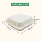 Shell Clam Shell Biodegradable Compostable Food Containers Compartment Bagasse Takeaway Pizza Box