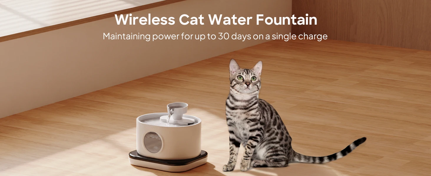 wireless cat water fountain