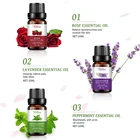 Essential Custom Therapeutic Grade 3 Pcs Bluk 100% Pure Natural Organic Rose Lavander Aromatherapy Essential Oil Set
