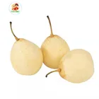 Pear Pears Pear Fresh Ya Pears/Ya Lie New Crop Pear Sweet Healthy Fresh Pears Fruit Wholesale Price