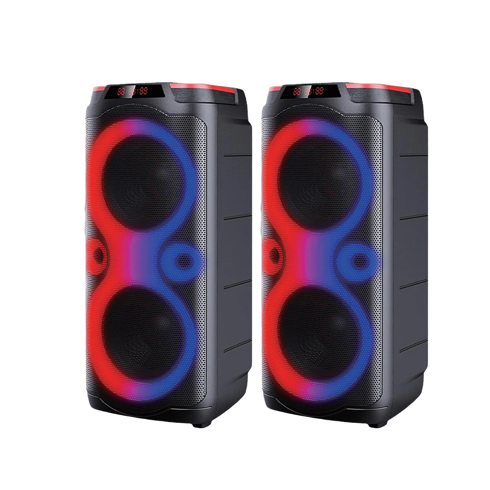 Dual 10 Inch Wireless Big Power Portable Speakers Outdoor Party Karaoke