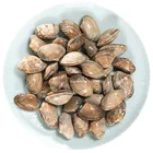 Ander Frozen Boiled Vacuum Variegated Clam 30 / 40 Carapace 5kg / Box