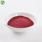 Natural Cranberry Freeze-dried Powder 100% Natural Cranberry Fruit Freeze-dried Juice Powder