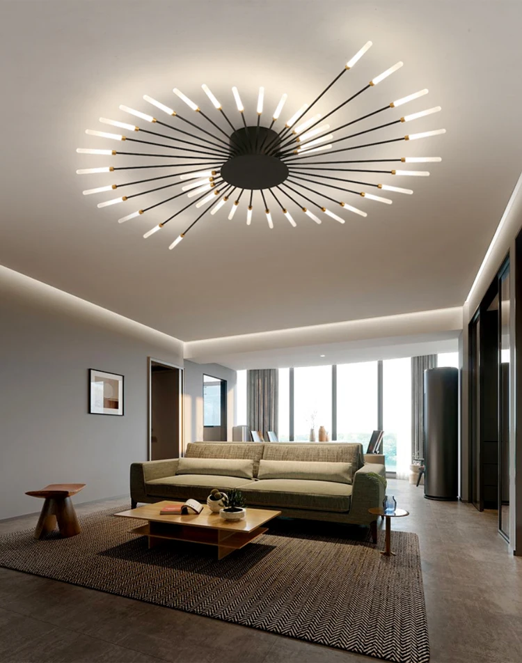 ceiling light (8).jpg