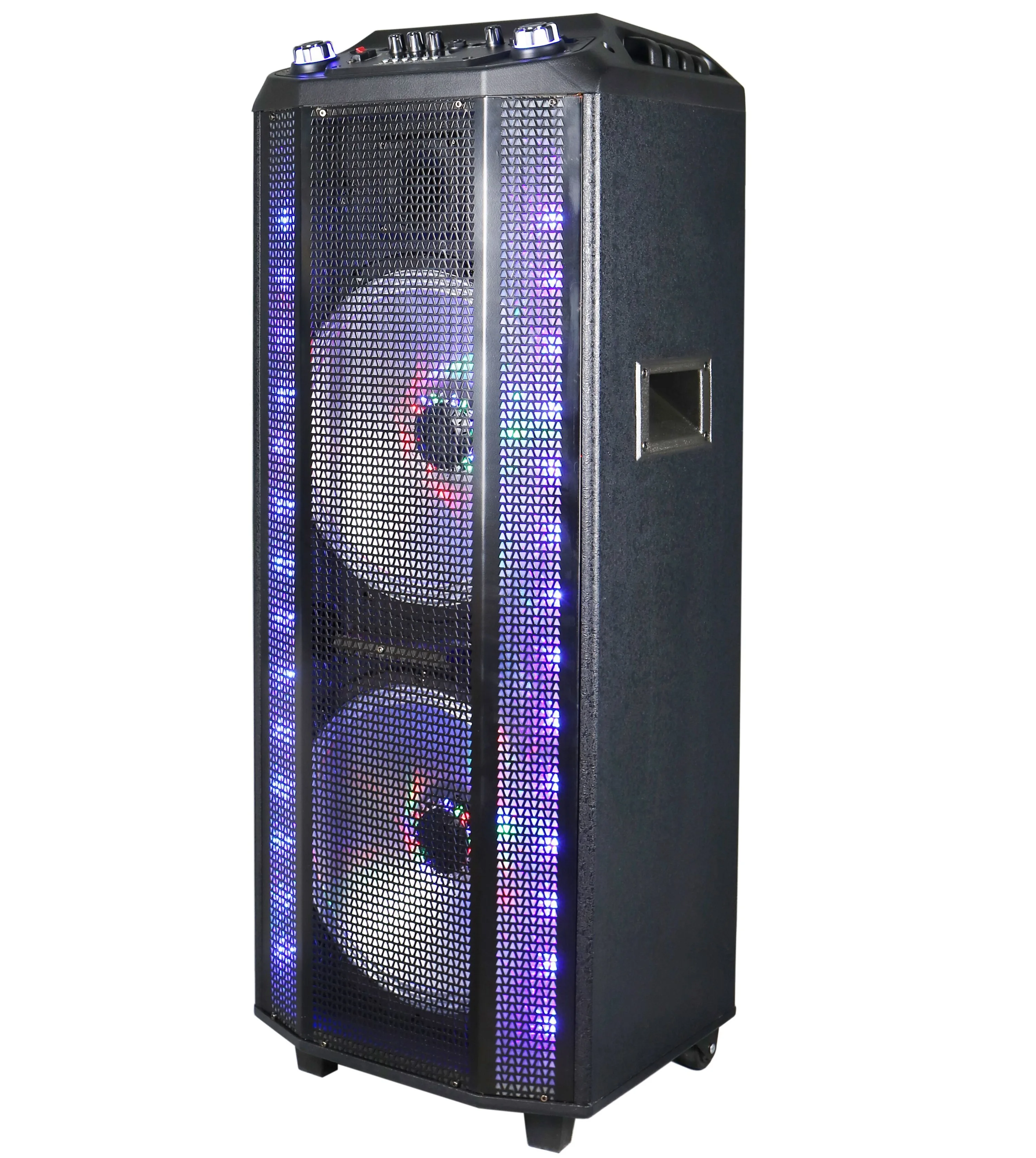 Wireless Mic Professional Hifi Speaker 
