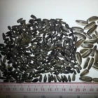New Crop Black Oil Sunflower Seeds For Bird Seeds