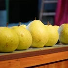 Pear Factory Direct Wholesale Fresh High Quality Low Price Pear From China