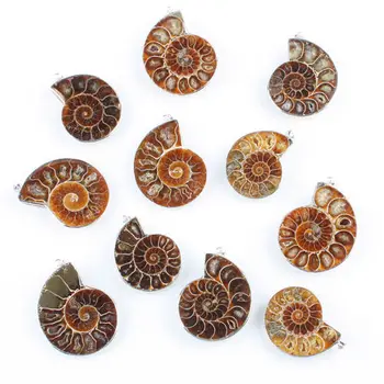 Beautiful Sea Nautilus Ammonite Fossil Shell Necklace Natural Gemstone Pendant