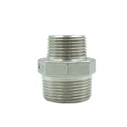 Stainless Fittings Pipe Pipe Fitting Stainless Steel Ss 304 316L Forging Male Thread BPS NPT Hexagon Reducing Nipple