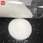 Top Price Plastic Lubricant Silicone Lubricated Resin PA6 Nylon6 Polyamide Granules SI
