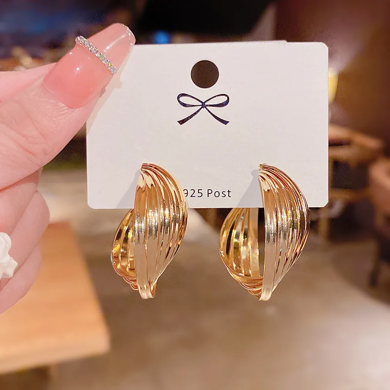 Korean version of the new exaggerated unique personality niche high-end design sense twisted earrings